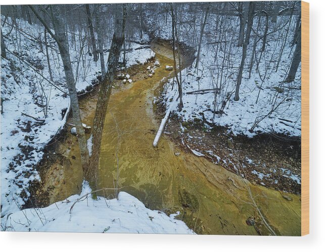 Winter Wood Print featuring the photograph Daniel Boone Conservation Area by Robert Charity