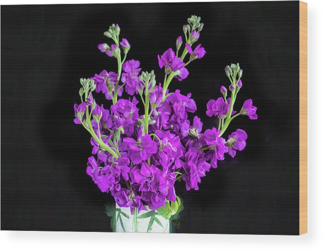 Dark Purple Stock Flowers Wood Print featuring the photograph Dark Purple Stock Flowers Matthiola incana X104 by Rich Franco