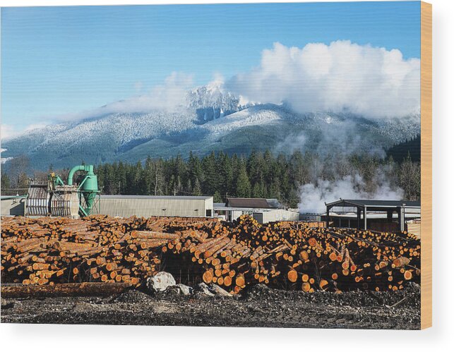 Darrington Logs And Prairie Mountain Wood Print featuring the photograph Darrington Logs and Prairie Mountain by Tom Cochran