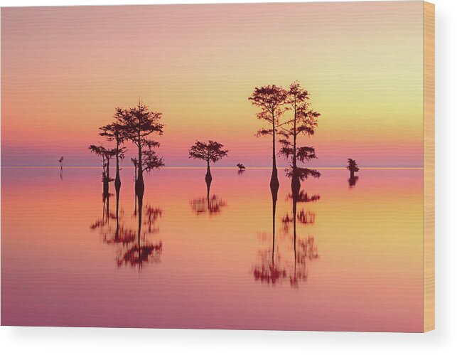 Morning Wood Print featuring the photograph Dawn Glow Reflection by C Renee Martin
