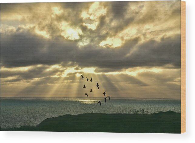 Skyscape Wood Print featuring the photograph Dawn Sky at Portland by Alan Ackroyd