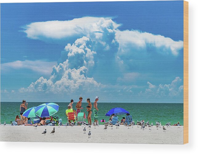 Florida Wood Print featuring the photograph Day at the Beach #1 by Marian Tagliarino