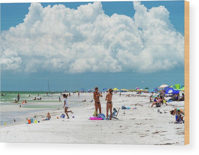 Florida Wood Print featuring the photograph Day at the Beach by Marian Tagliarino