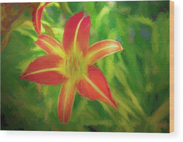 Flower Wood Print featuring the photograph Daylily Painterly by Alison Frank
