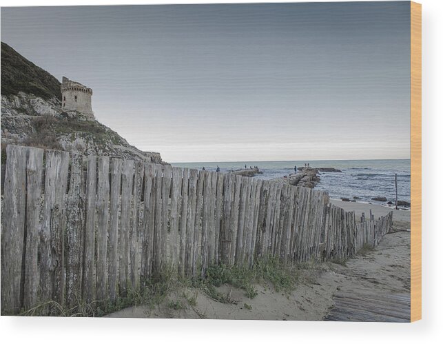 Outdoors Wood Print featuring the photograph Defence or the fence? by Adriano Ficarelli