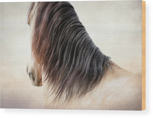 Photographs Wood Print featuring the photograph Demure - Horse Art by Lisa Saint