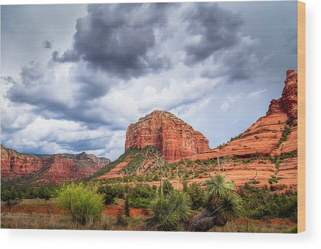 Arizona Wood Print featuring the photograph Desert Beauty by Michael Smith