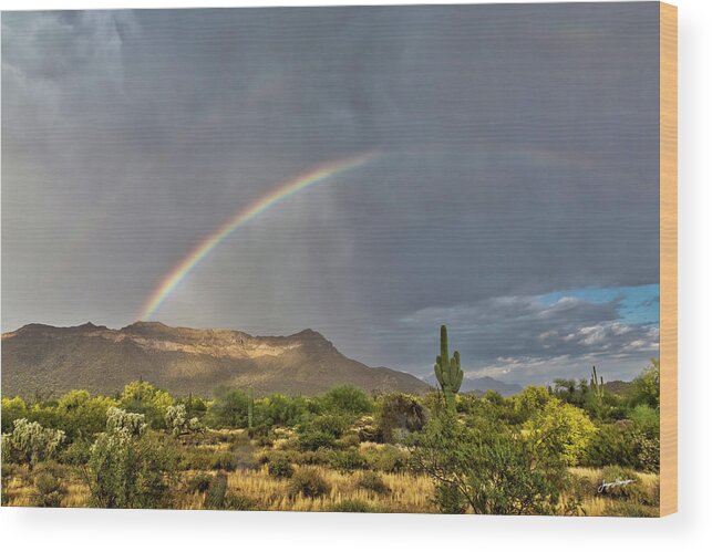 Rainbow Wood Print featuring the photograph Desert Rainbow by Jurgen Lorenzen