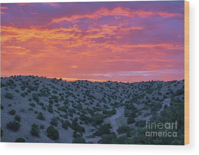 Landscape Wood Print featuring the photograph Desert Valley by Seth Betterly