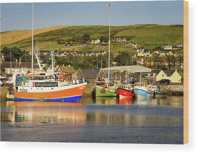 Boat Wood Print featuring the photograph Dingle Fishing Fleet by Craig A Walker
