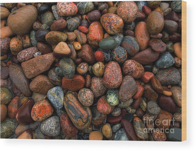 Beach Rocks Wood Print featuring the photograph Diversity of Great Lakes Beach Rocks, Hurricane Beach, Lake Superior RO8291-2 by Mark Graf