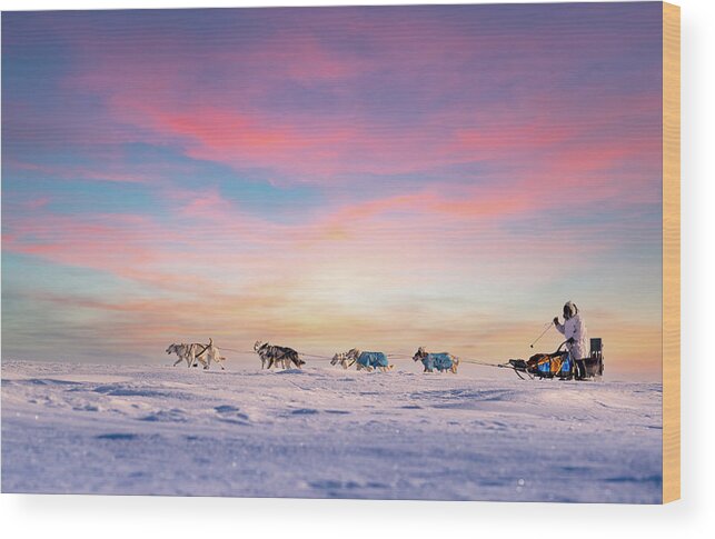 Sunset Wood Print featuring the photograph Dog Sled Team at Sunset by Scott Slone