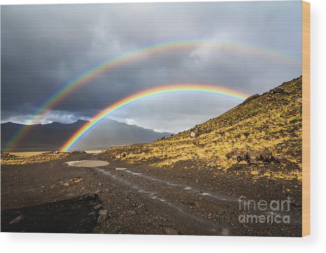 Rainbow Wood Print featuring the photograph Double rainbow by Lyl Dil Creations