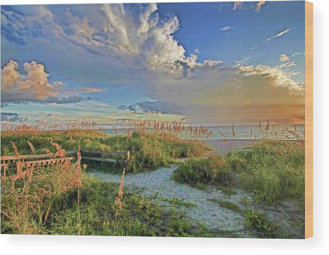 Anna Maria Island Florida Wood Print featuring the photograph Down To The Beach 2 - Florida Beaches by HH Photography of Florida