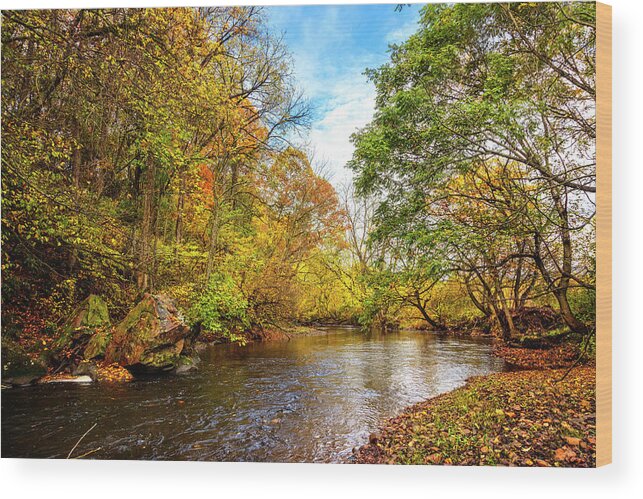 Andrews Wood Print featuring the photograph Drifting Leaves at the River by Debra and Dave Vanderlaan