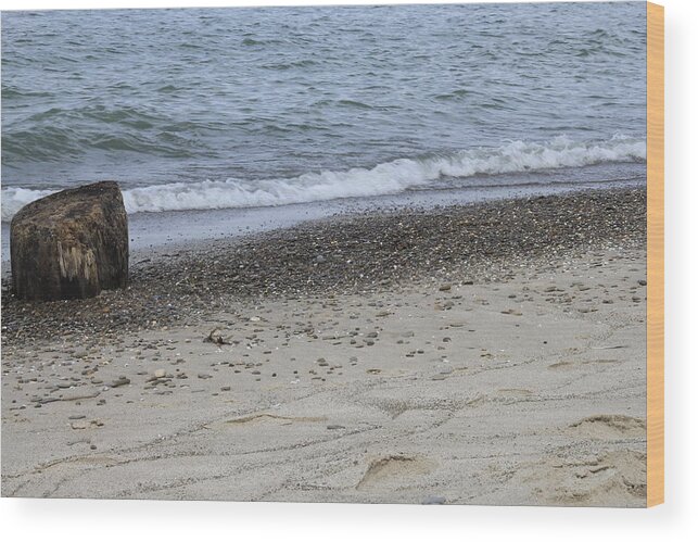 Sand Wood Print featuring the photograph Driftwood on Sandy Shore by Valerie Collins