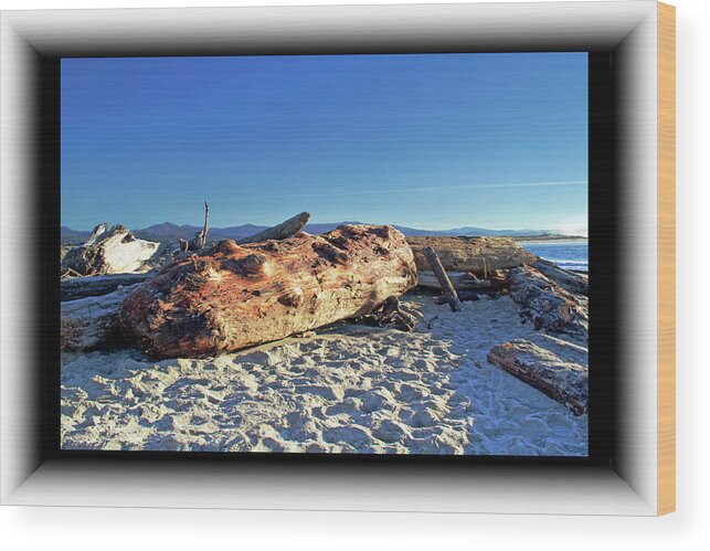 Driftwood Wood Print featuring the photograph Driftwood Trees by Richard Risely