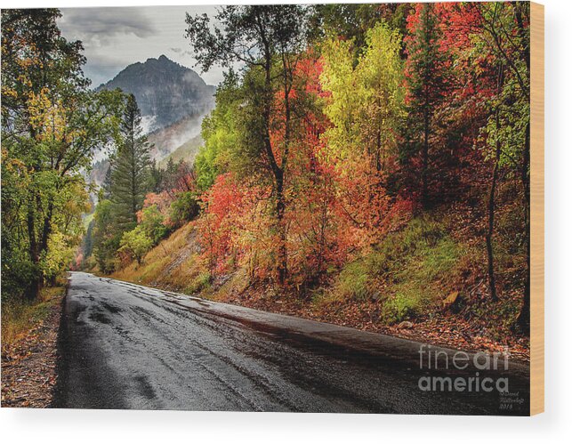 Drive Into Fall Wood Print featuring the photograph Drive into Fall by David Millenheft