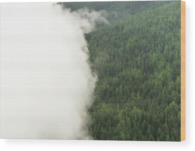 Forest Wood Print featuring the photograph DSC08265 - Forest Cloud by Marco Missiaja