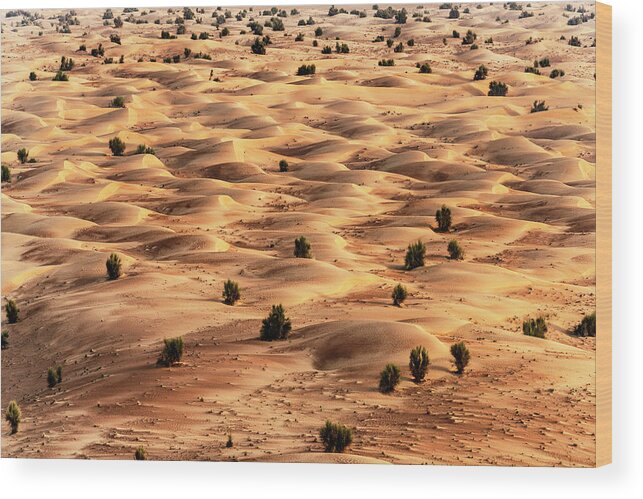 Uae Wood Print featuring the photograph Dubai UAE - Desert Dunes by Philippe HUGONNARD