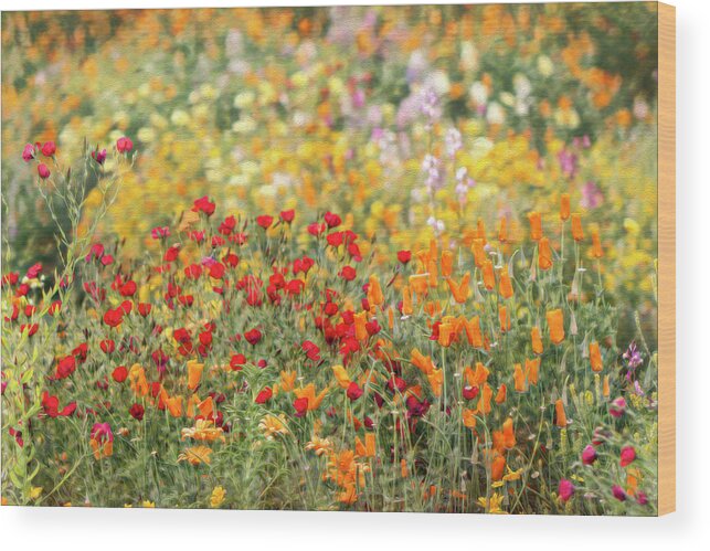 Flowers Wood Print featuring the photograph Dublin In Spring by Vanessa Thomas