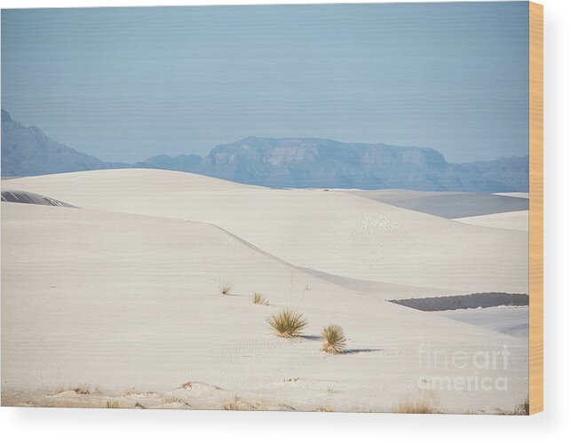 White Sands Wood Print featuring the photograph Dunes 8 by Andrea Anderegg
