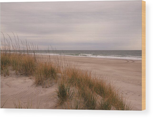 Atlantic Ocean Wood Print featuring the photograph Dunes at the Atlantic Ocean by Karen Ruhl