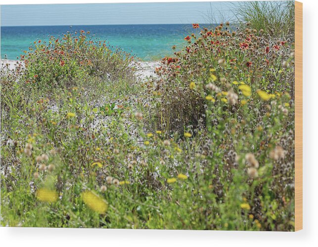 Sowal Wood Print featuring the photograph Dunetop Beach Wildflowers by Kurt Lischka