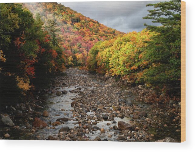 New Wood Print featuring the photograph East Brach of the Pemigewasset After a Rain by William Dickman