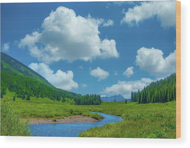 Calm Wood Print featuring the photograph Winding Mountain River, East River at Crested Butte by Tom Potter