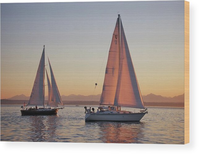 Pacific Northwest Wood Print featuring the photograph Elliot Bay Sailboats by Sean Hannon