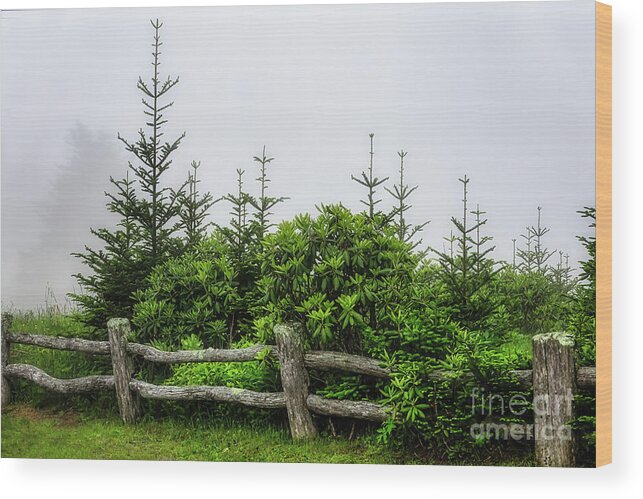 Roan Mountain Wood Print featuring the photograph Embracing the Storm... by Shelia Hunt