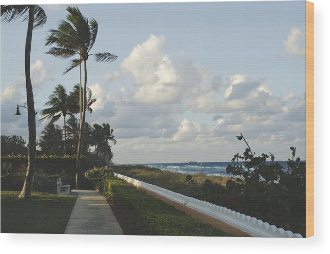 Empty Wood Print featuring the photograph Empty sidewalk and bench looking down coast of Palm Beach by By Stephanie Zell