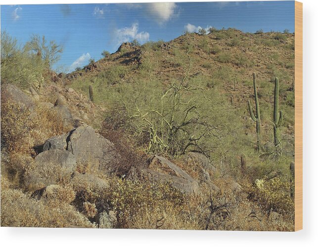 Overlook Trail Wood Print featuring the photograph Enchanted Hillside by Lynda Lehmann