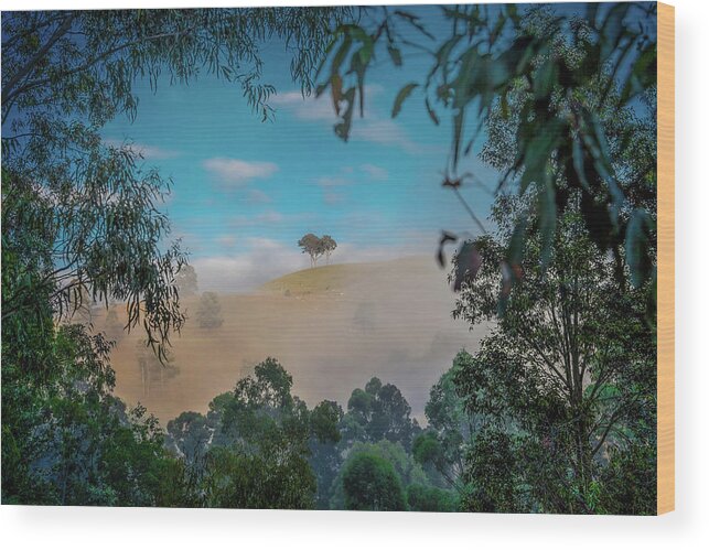Lone Tree Wood Print featuring the photograph Enchanted Valley by Az Jackson