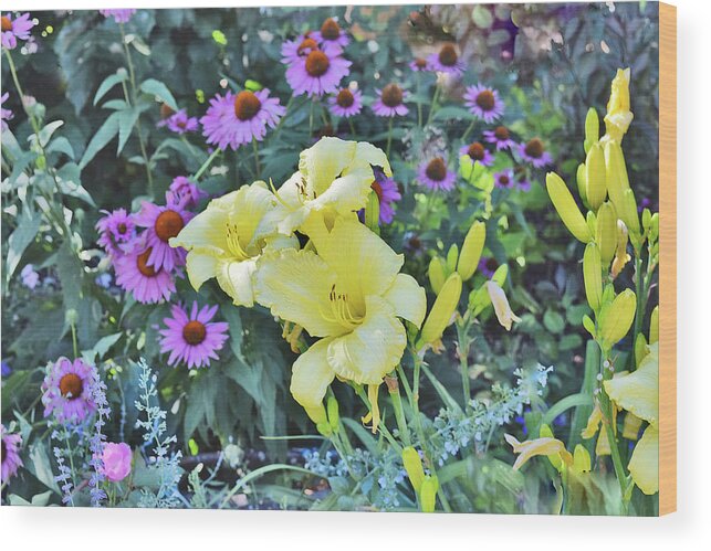 Summer Garden Wood Print featuring the photograph End of July Yellow Daylilies and Purple Coneflowers by Janis Senungetuk