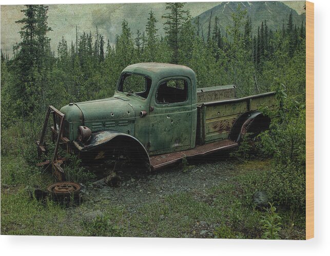 Alaska Wood Print featuring the photograph End Of The Line by Fred Denner