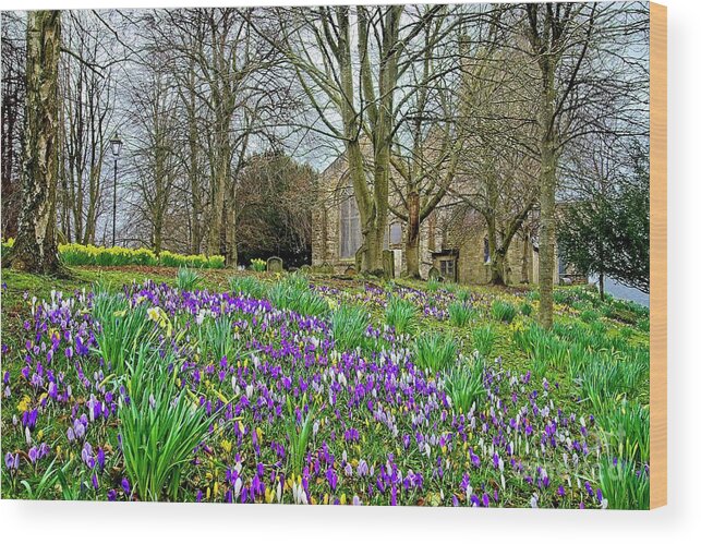 Spring Flowers Wood Print featuring the photograph English Spring Flowers by Martyn Arnold