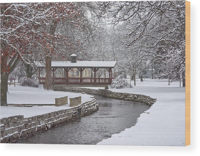 Lake Leota Wood Print featuring the photograph Allen Creek Winterscape at Lake Leota Park in Evansville Wisconsin by Peter Herman