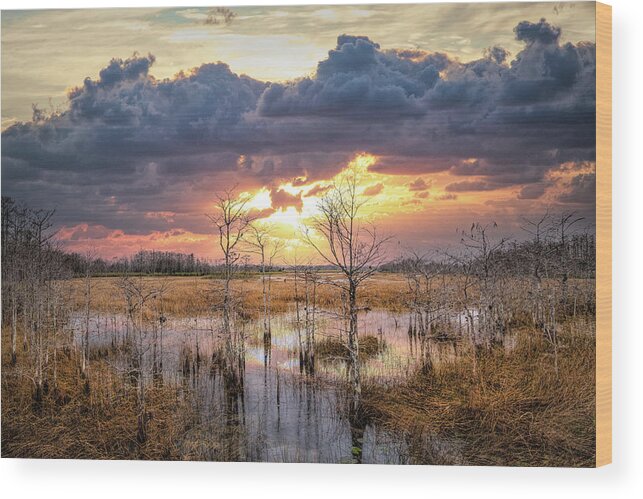 Clouds Wood Print featuring the photograph Evening Everglades by Debra and Dave Vanderlaan