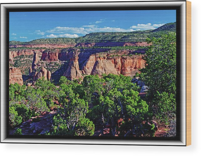 Colorado Wood Print featuring the photograph Evening Shadows by Richard Risely