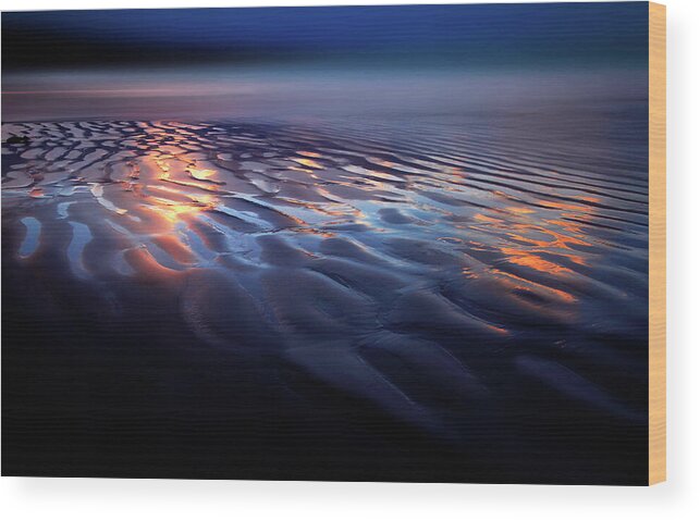Seascape Wood Print featuring the photograph Evening Sun by Angelika Vogel
