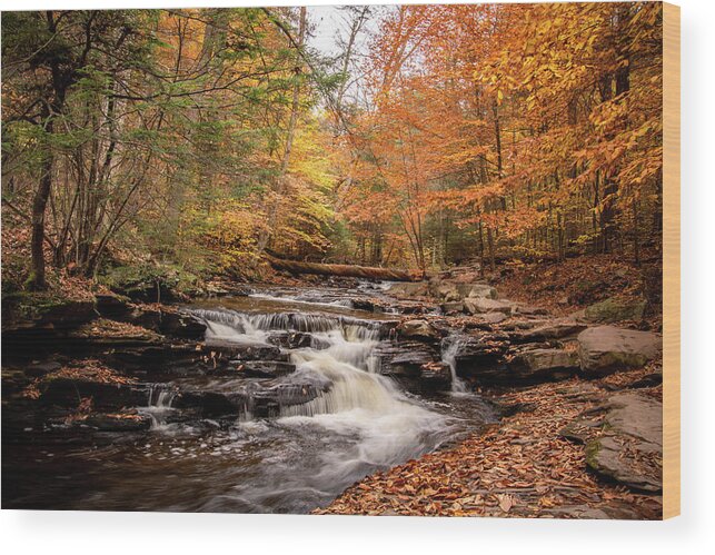 Fall Wood Print featuring the photograph Fall Along the Glen Leigh by Rose Guinther