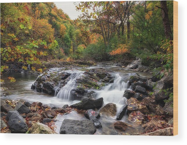 Waterfall Wood Print featuring the photograph Fall at Jennings Creek 2 by Tricia Louque