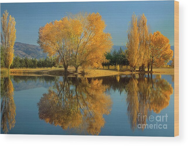 Dave Welling Wood Print featuring the photograph Fall Colored Trees Near Eastern Sierras California by Dave Welling