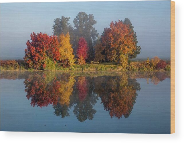 Fall Colors As The Fog Lifted Wood Print featuring the photograph Fall colors as the fog lifted by Lynn Hopwood