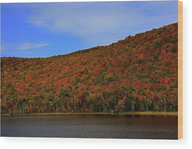 Fall Colors Wood Print featuring the photograph Fall Foliage - Vermont by Richard Krebs