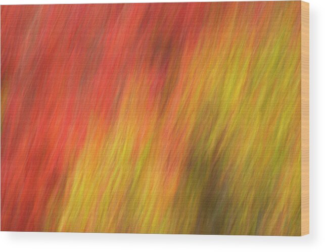 Abstract Wood Print featuring the photograph Fall Heat by Art Cole
