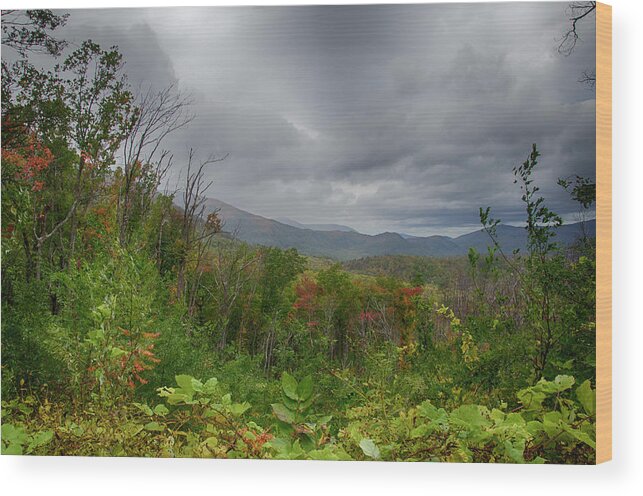 Smokies Wood Print featuring the photograph Fall Landscape by Jim Cook