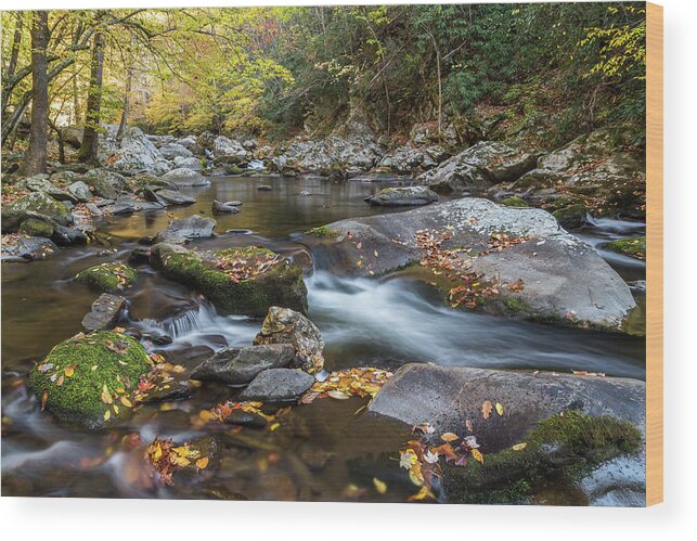 Fall Wood Print featuring the photograph Fall Mountain Stream by Jim Miller